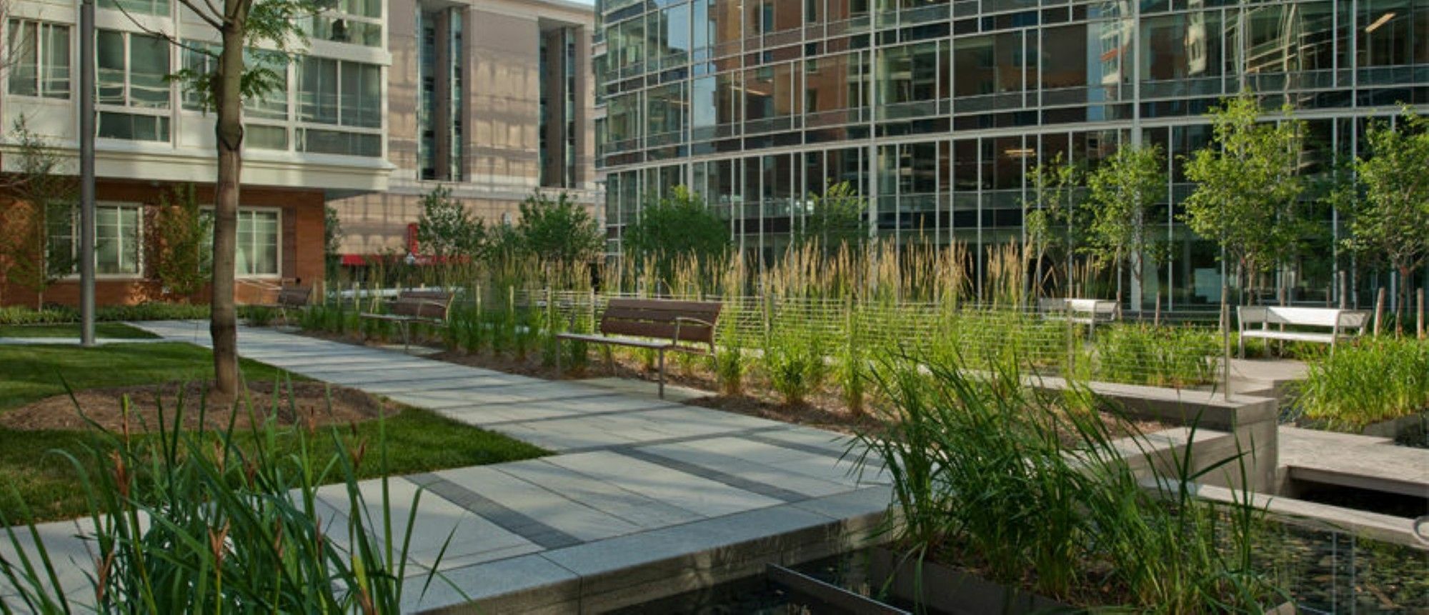 Global Luxury Suites At Foggy Bottom Washington Kültér fotó